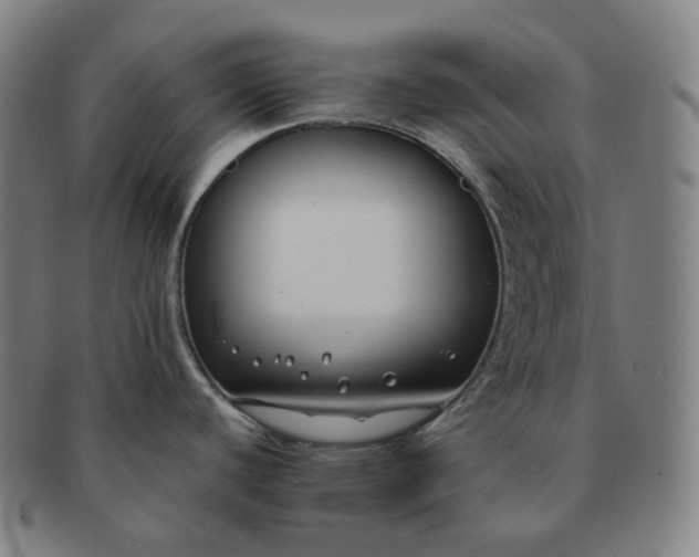 X0000091301440200708241041