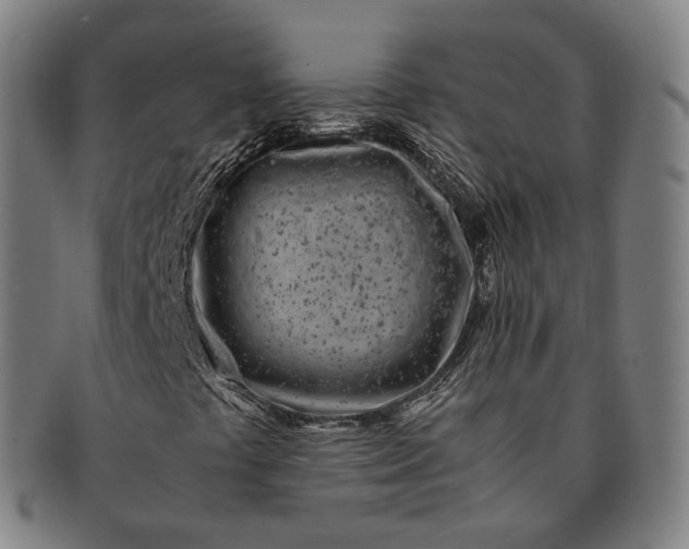 X0000091301441200708241041