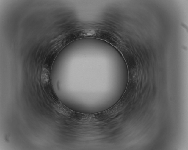 X0000091301442200708241041