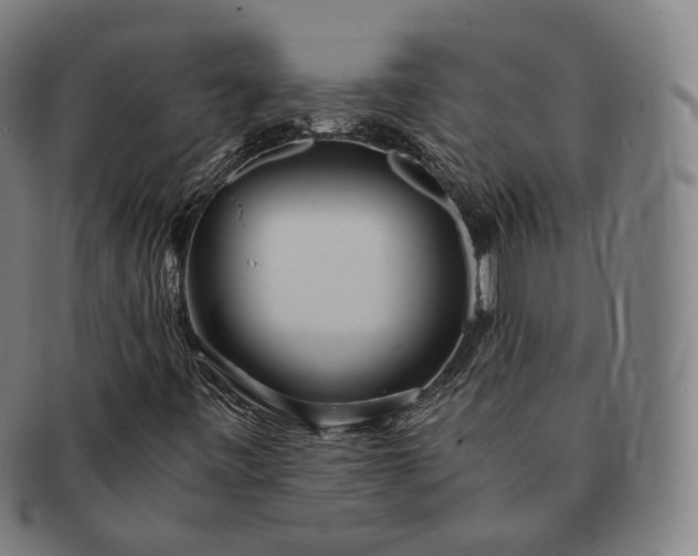 X0000091301443200708241041