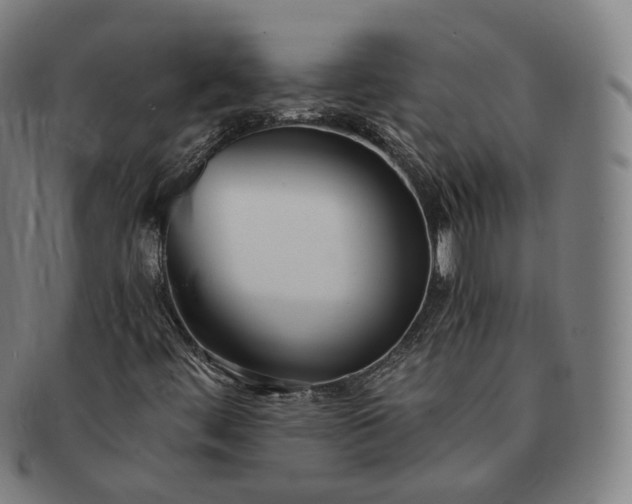 X0000091301444200708241041