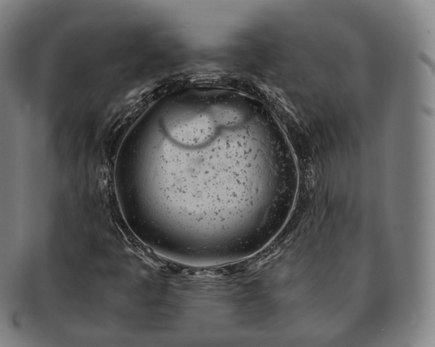 X0000091301445200708241040