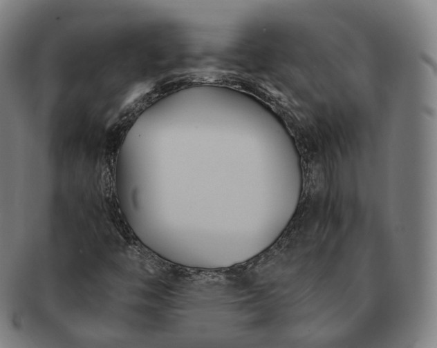 X0000091301446200708241040