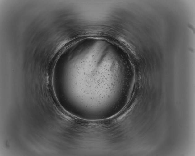 X0000091301449200708241040