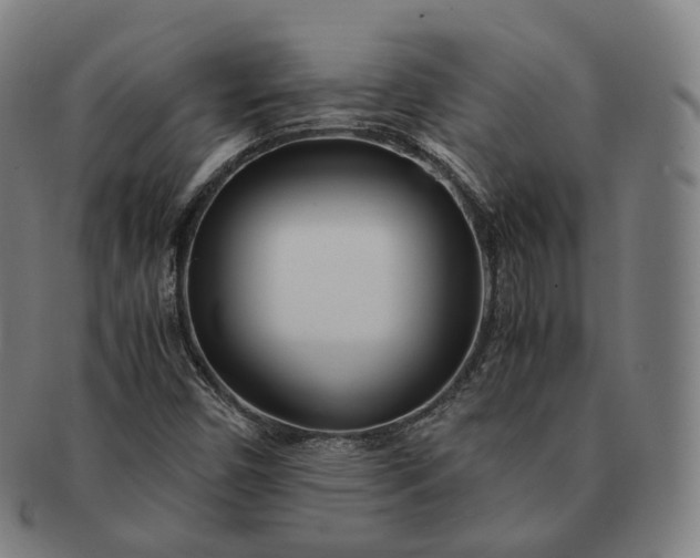 X0000091301450200708241040