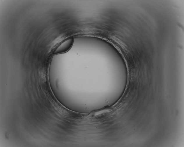 X0000091301451200708241040