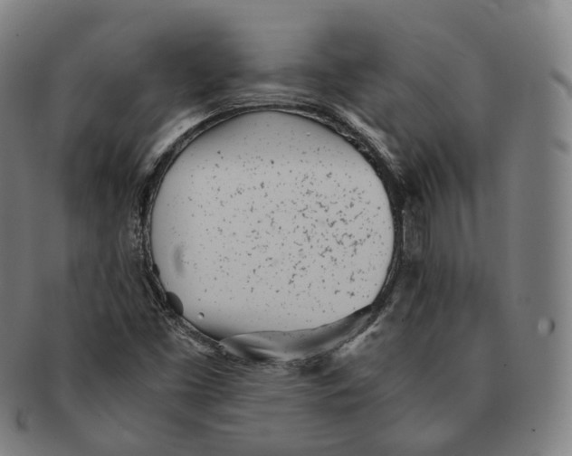 X0000091301453200708241040