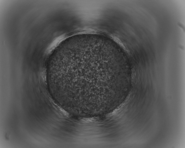 X0000091301455200708241040