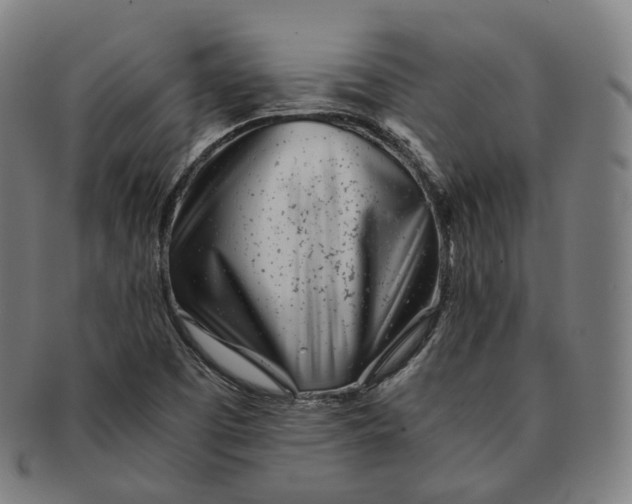 X0000091301457200708241040