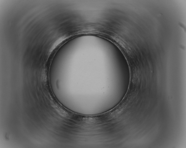 X0000091301458200708241040