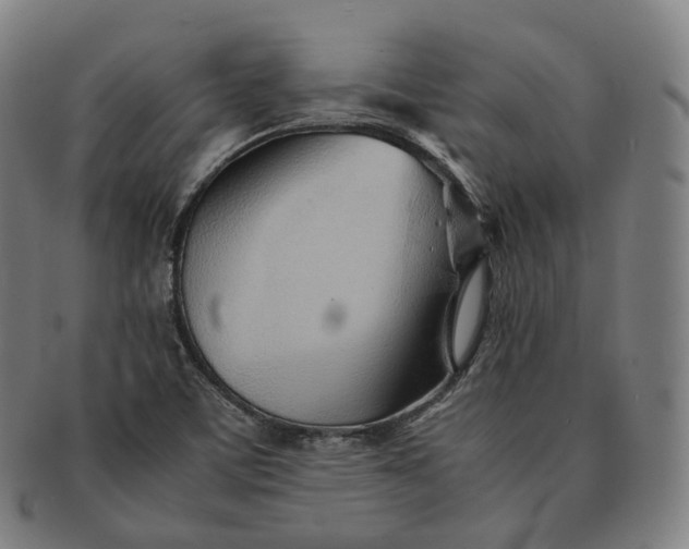 X0000091301459200708241040