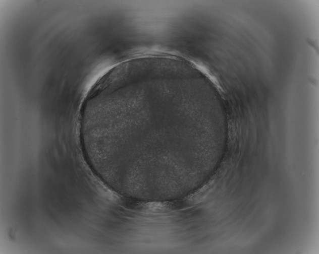 X0000091301463200708241040