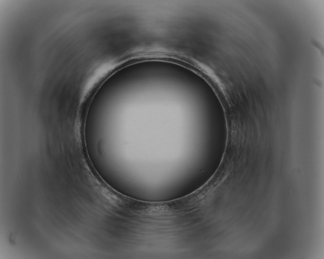 X0000091301464200708241040