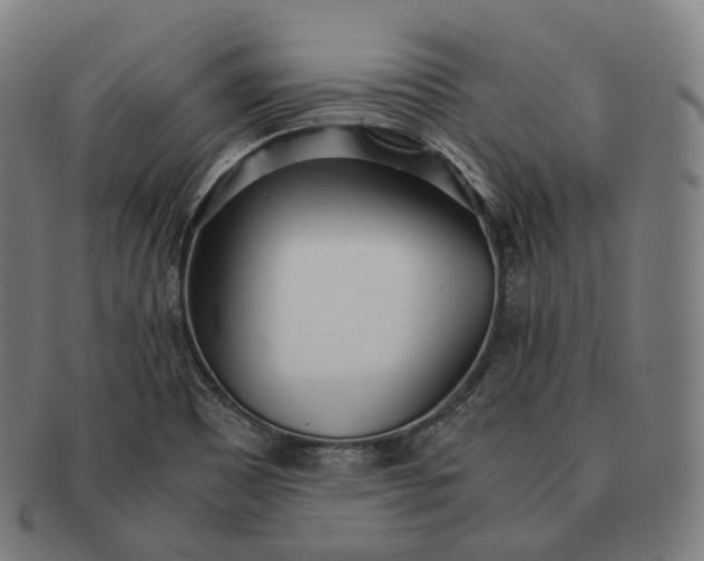 X0000091301465200708241040