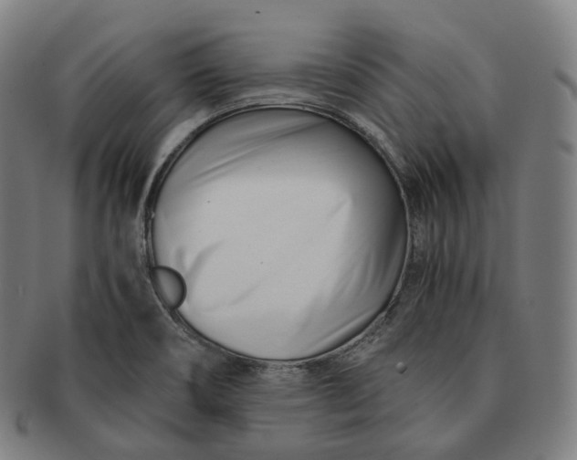 X0000091301466200708241040