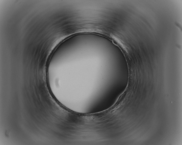 X0000091301468200708241040