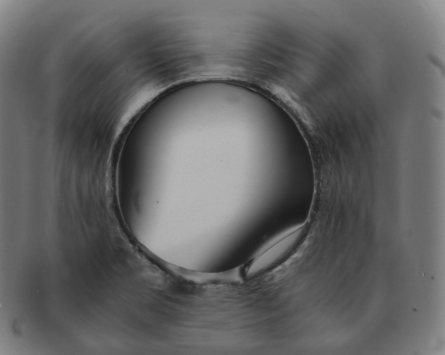 X0000091301469200708241040