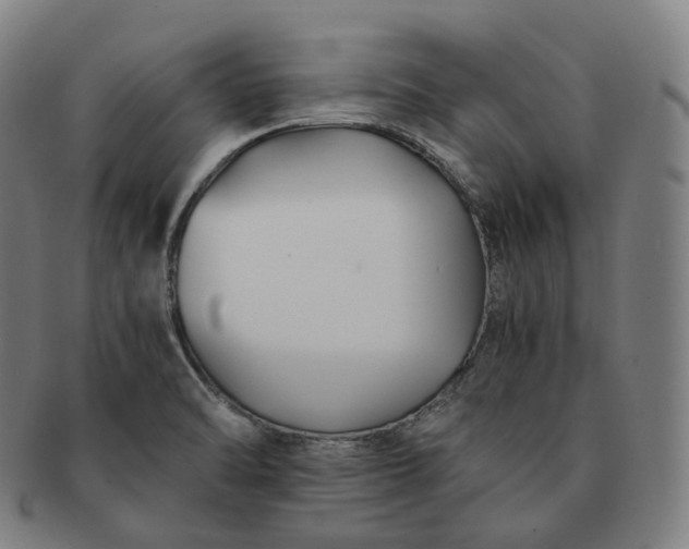 X0000091301470200708241040