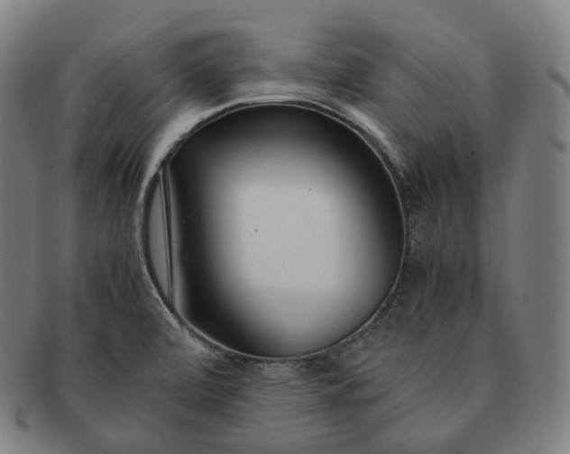 X0000091301472200708241040