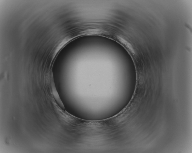 X0000091301473200708241040