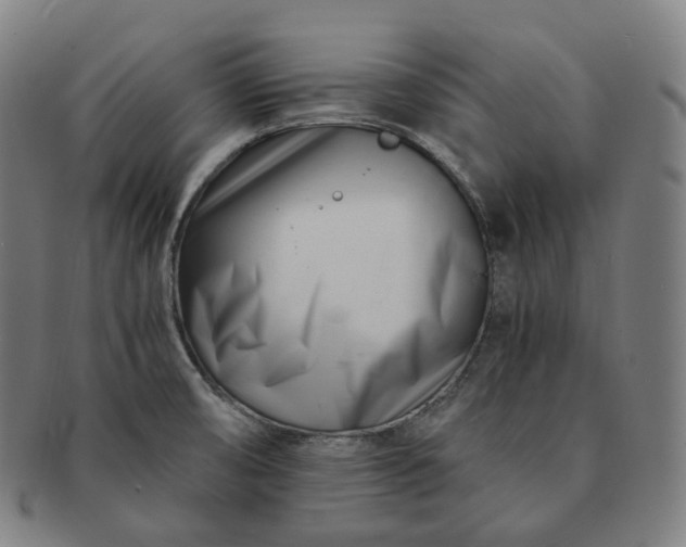 X0000091301474200708241040