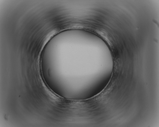 X0000091301475200708241040