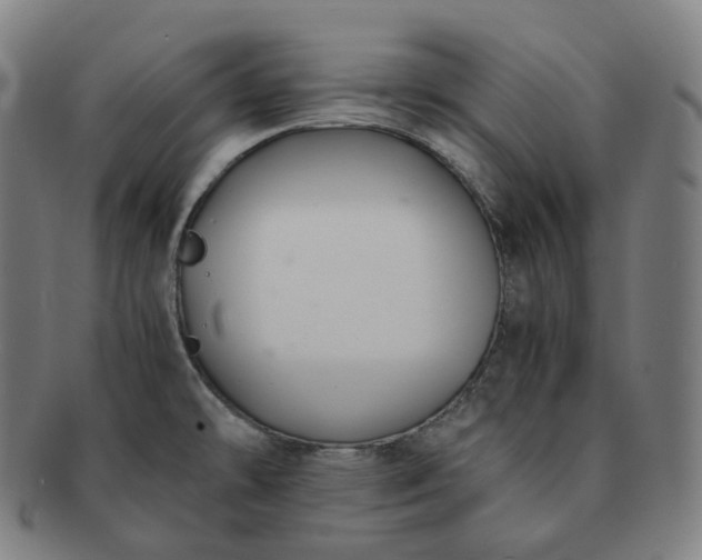 X0000091301478200708241040