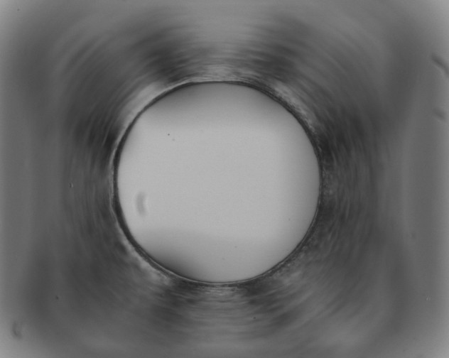 X0000091301479200708241040