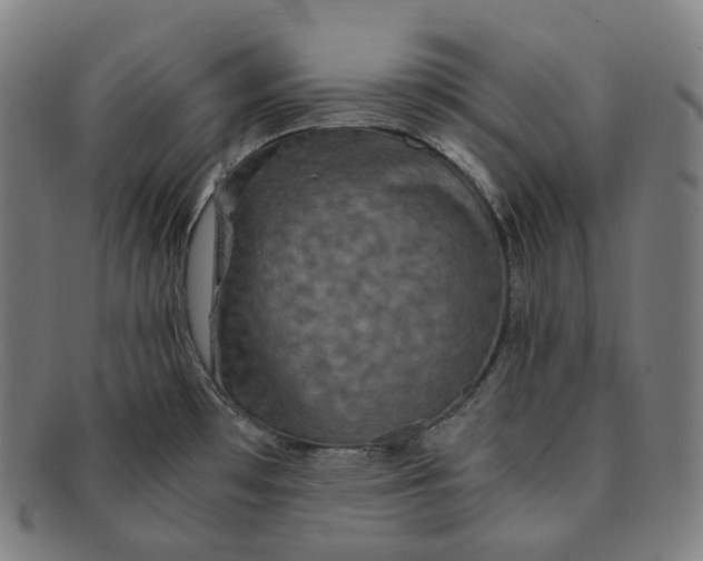 X0000091301481200708241040