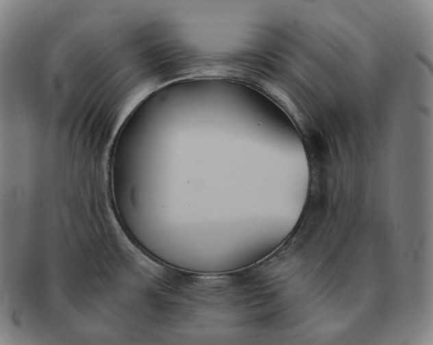 X0000091301483200708241040