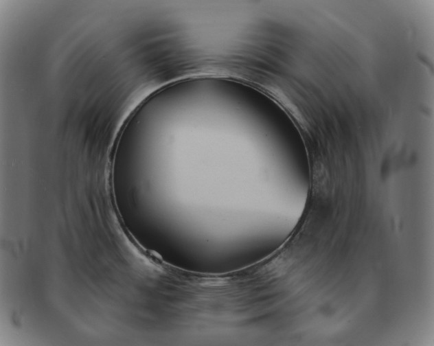 X0000091301484200708241040