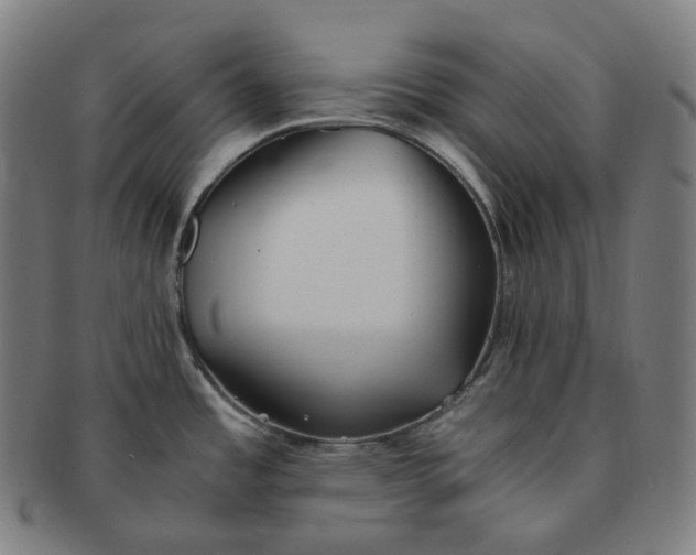 X0000091301485200708241040