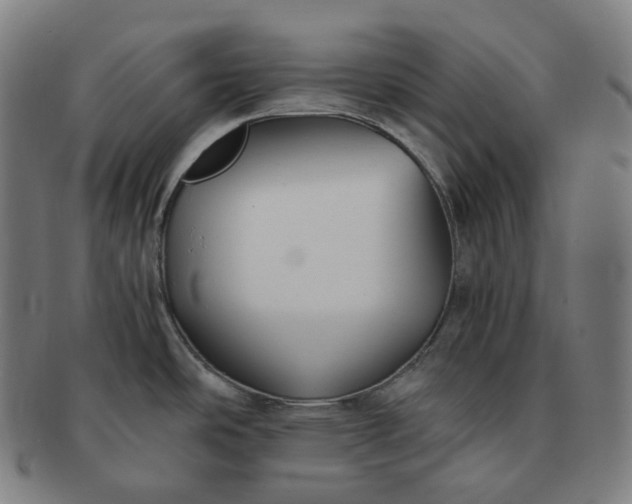 X0000091301486200708241040