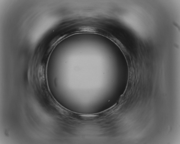 X0000091301487200708241040