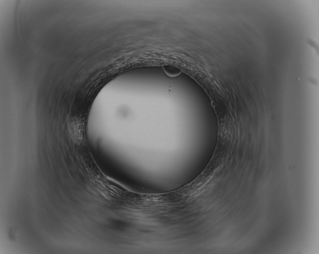 X0000091301490200708241039