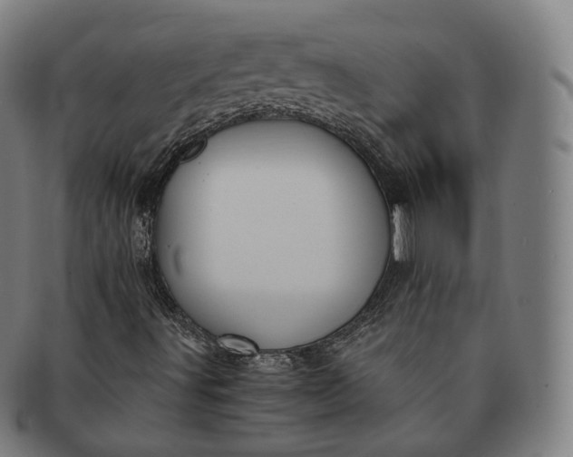 X0000091301491200708241039