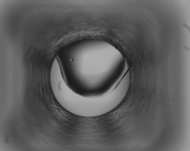 X0000091301492200708241039