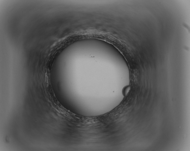 X0000091301493200708241039