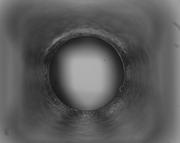 X0000091301494200708241039