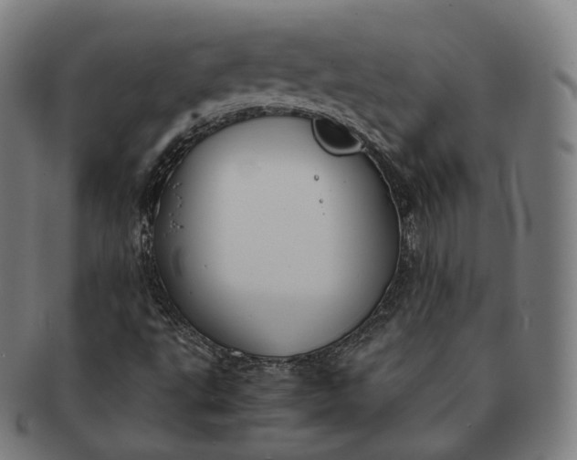 X0000091301495200708241039