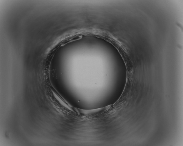 X0000091301496200708241039