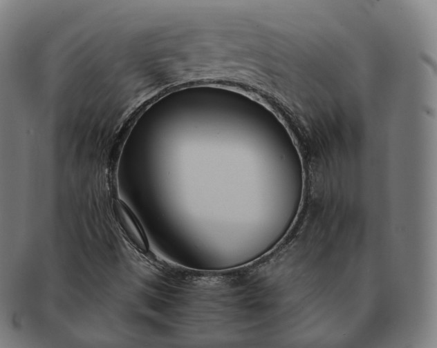 X0000091301497200708241039