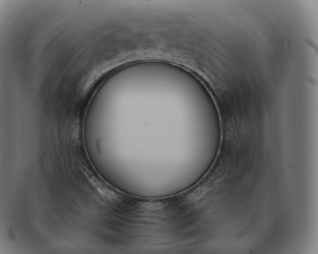 X0000091301499200708241039