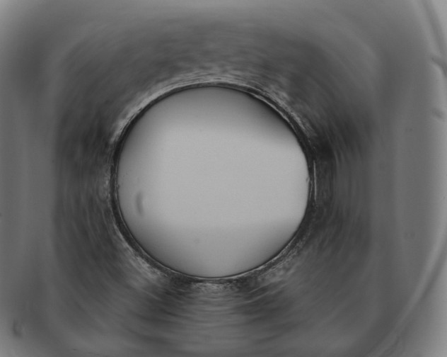 X0000091301500200708241039