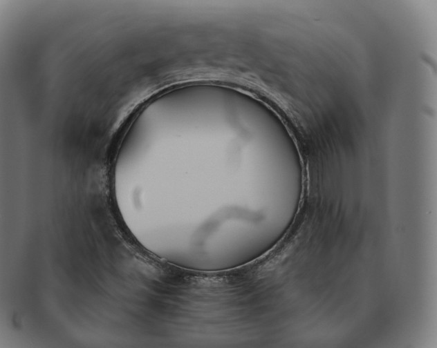 X0000091301501200708241039