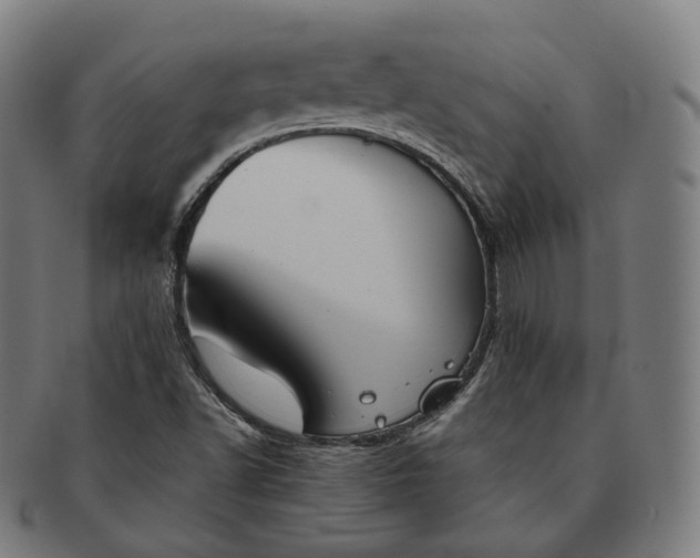 X0000091301502200708241039