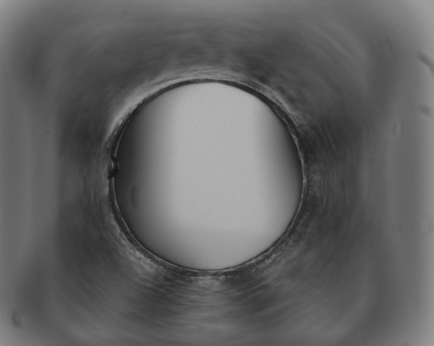 X0000091301504200708241039