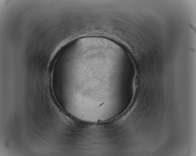 X0000091301506200708241039