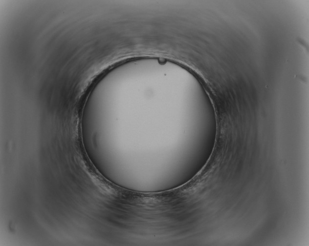 X0000091301507200708241040