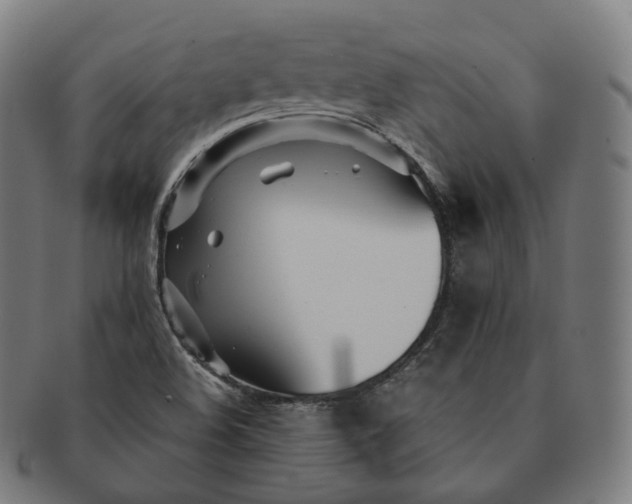 X0000091301508200708241040